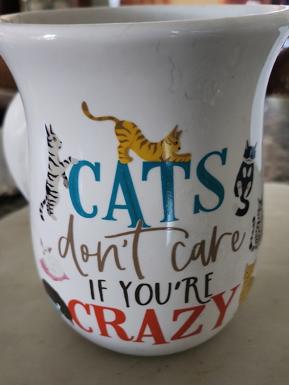 P. Graham Dunn White Ceramic Mug - "Cats Don't Care If You're Crazy" NWT